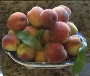 peaches from the orchard